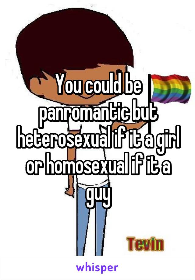 You could be panromantic but heterosexual if it a girl or homosexual if it a guy