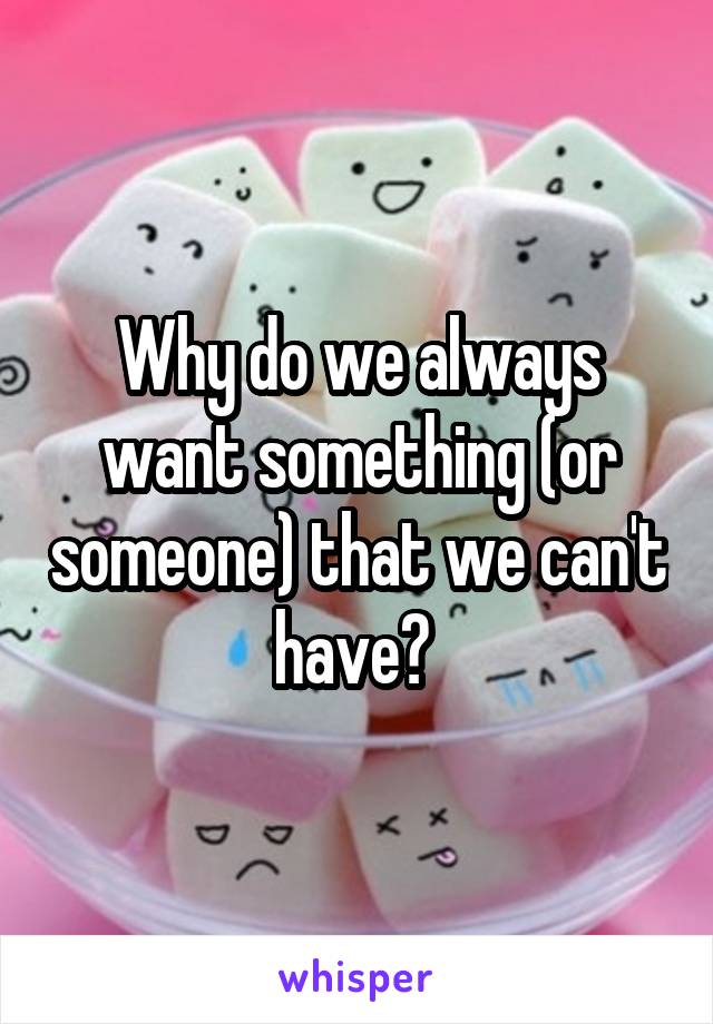 Why do we always want something (or someone) that we can't have? 