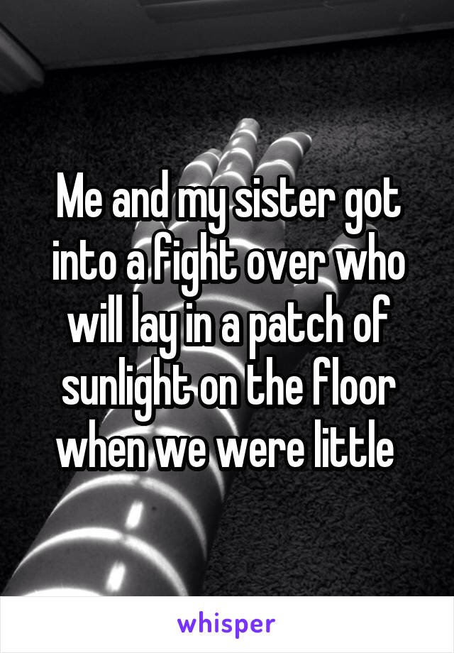 Me and my sister got into a fight over who will lay in a patch of sunlight on the floor when we were little 