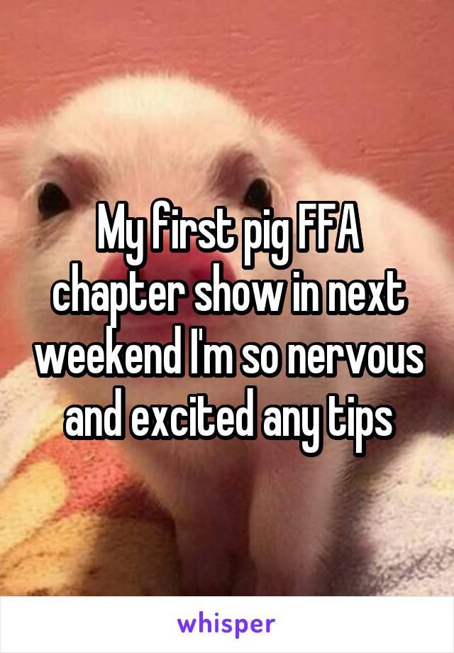 My first pig FFA chapter show in next weekend I'm so nervous and excited any tips