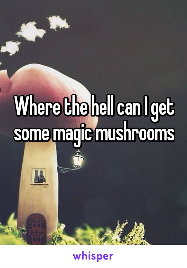 Where the hell can I get some magic mushrooms 