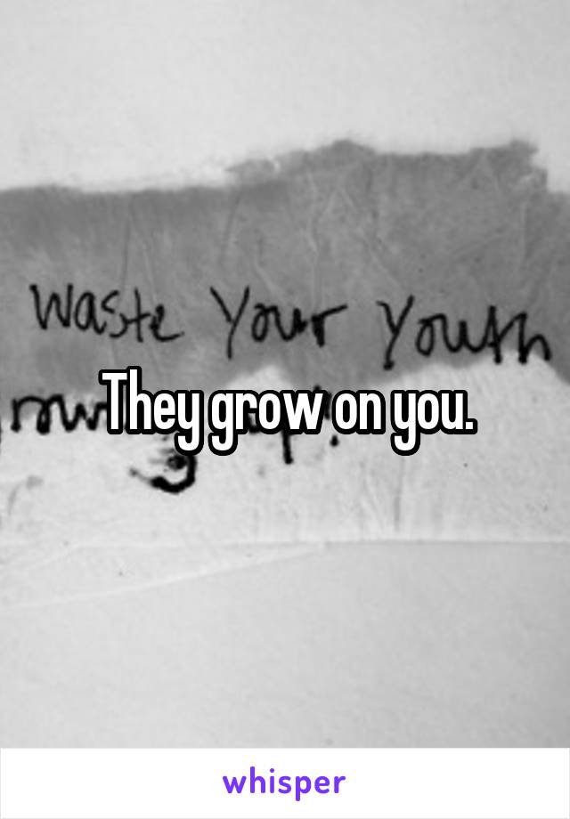 They grow on you.