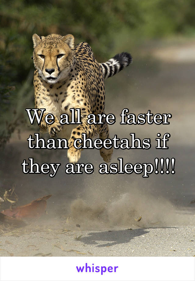 We all are faster than cheetahs if they are asleep!!!!