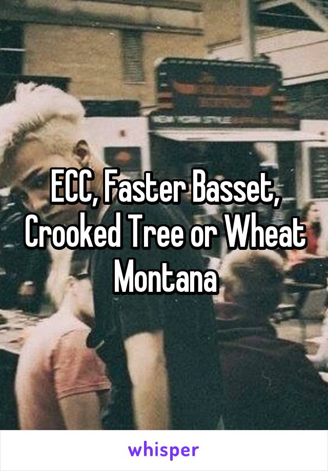 ECC, Faster Basset, Crooked Tree or Wheat Montana