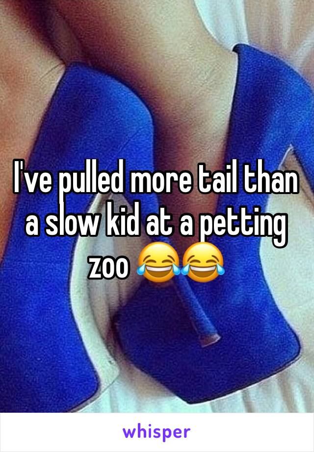 I've pulled more tail than a slow kid at a petting zoo 😂😂