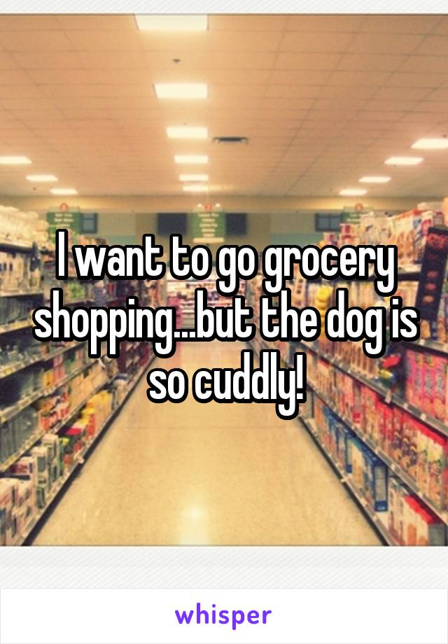 I want to go grocery shopping...but the dog is so cuddly!