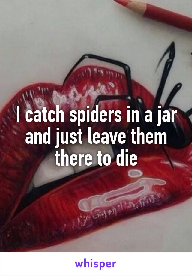 I catch spiders in a jar and just leave them there to die