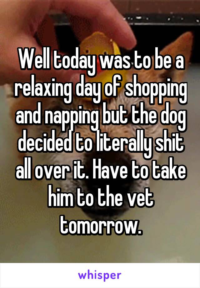 Well today was to be a relaxing day of shopping and napping but the dog decided to literally shit all over it. Have to take him to the vet tomorrow.