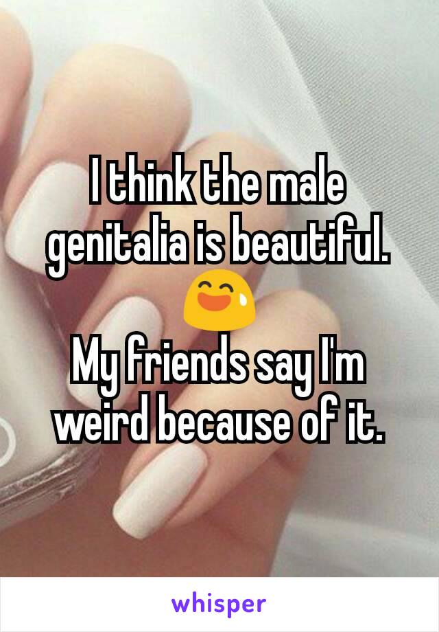 I think the male genitalia is beautiful. 😅
My friends say I'm weird because of it.