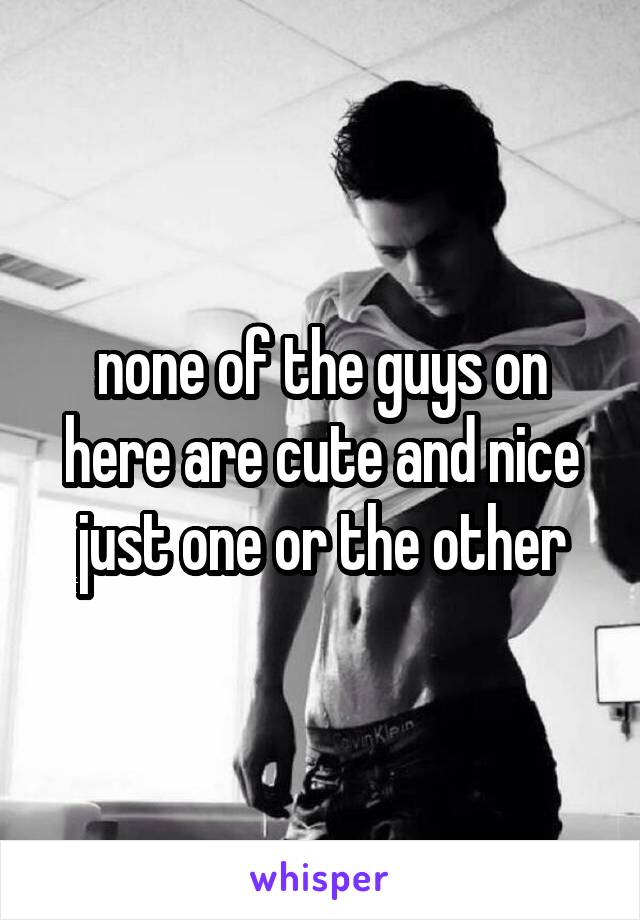 none of the guys on here are cute and nice just one or the other