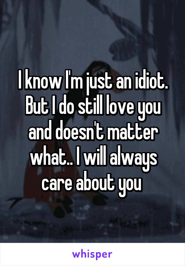 I know I'm just an idiot. But I do still love you and doesn't matter what.. I will always care about you 