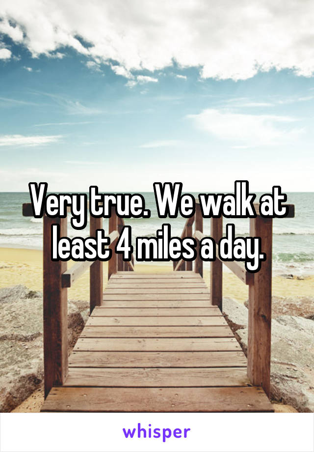 Very true. We walk at least 4 miles a day.