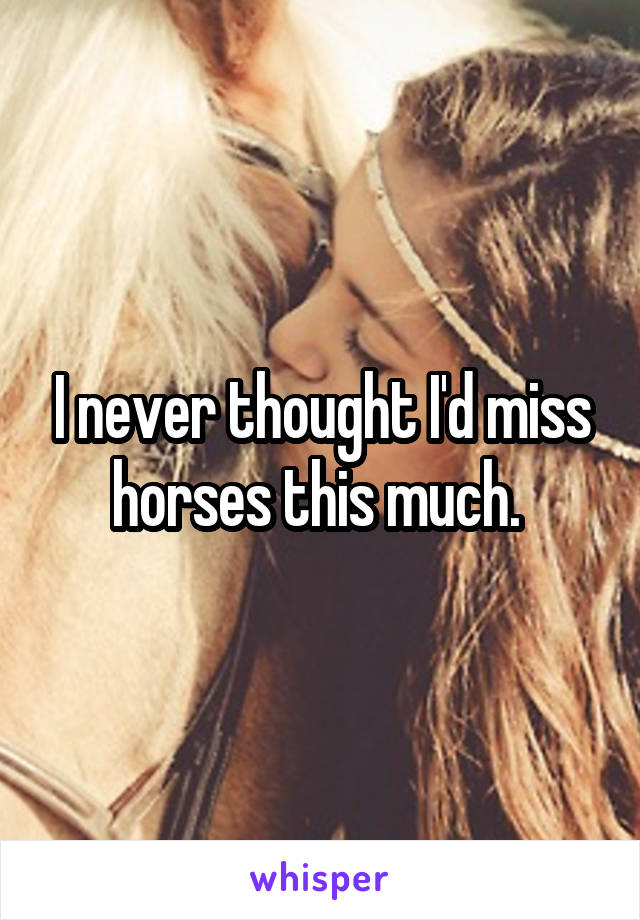 I never thought I'd miss horses this much. 