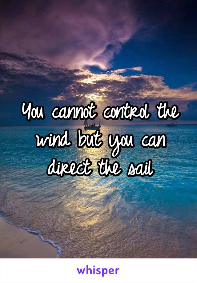 You cannot control the wind but you can direct the sail