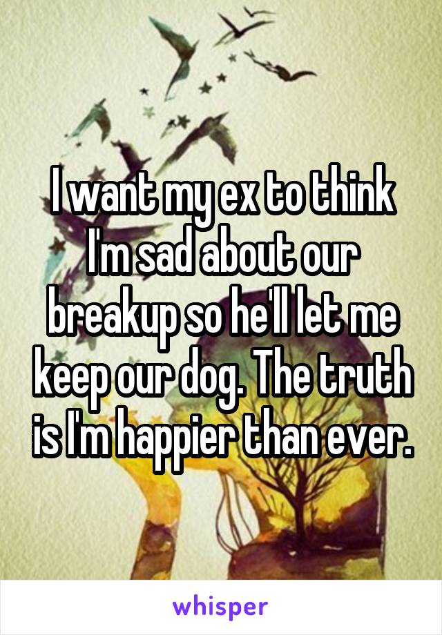 I want my ex to think I'm sad about our breakup so he'll let me keep our dog. The truth is I'm happier than ever.