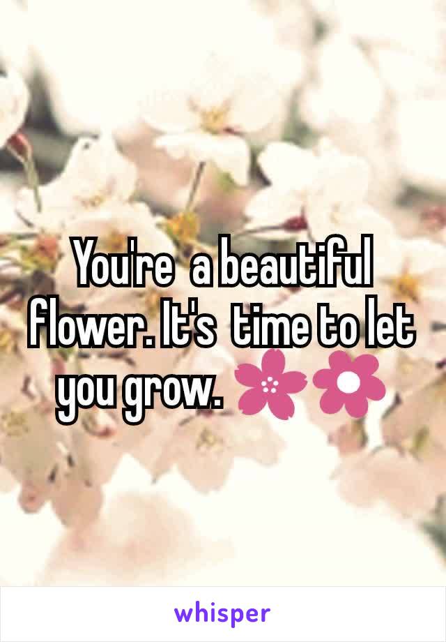 You're  a beautiful flower. It's  time to let you grow. 🌸🌼