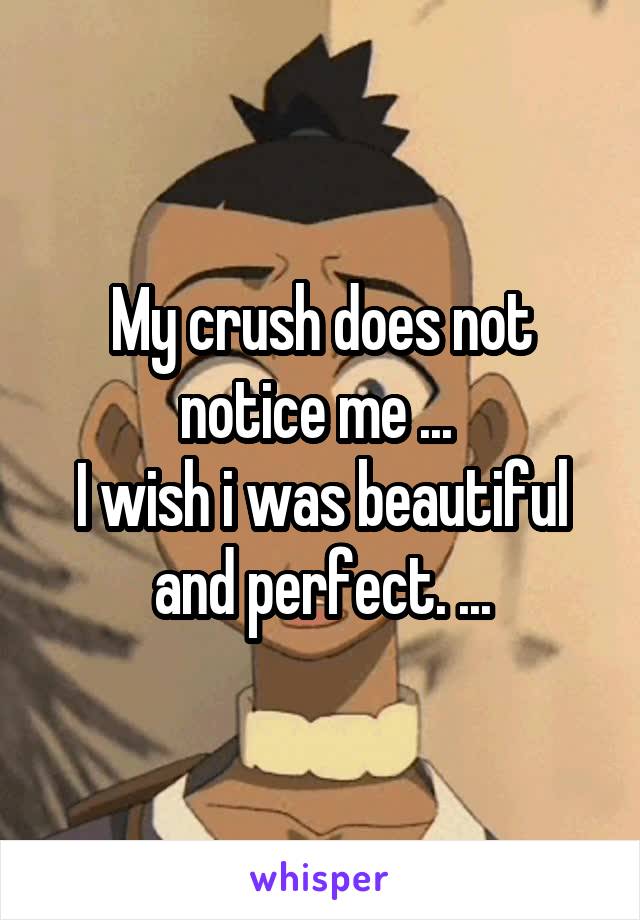 My crush does not notice me ... 
I wish i was beautiful and perfect. ...