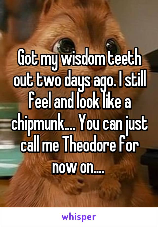 Got my wisdom teeth out two days ago. I still feel and look like a chipmunk.... You can just call me Theodore for now on.... 