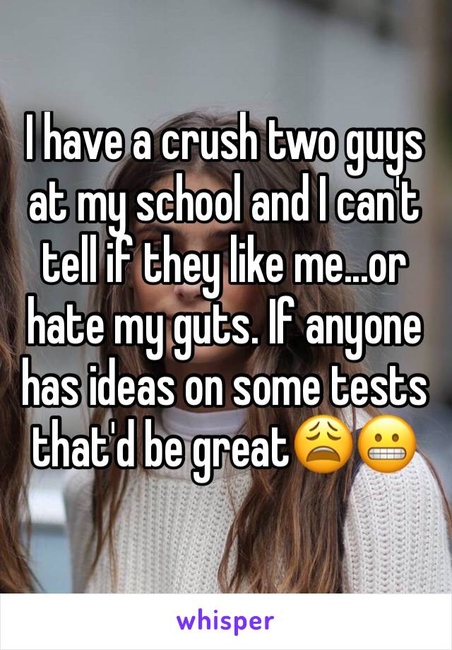 I have a crush two guys at my school and I can't tell if they like me...or hate my guts. If anyone has ideas on some tests that'd be great😩😬