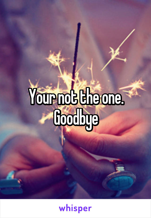 Your not the one. Goodbye