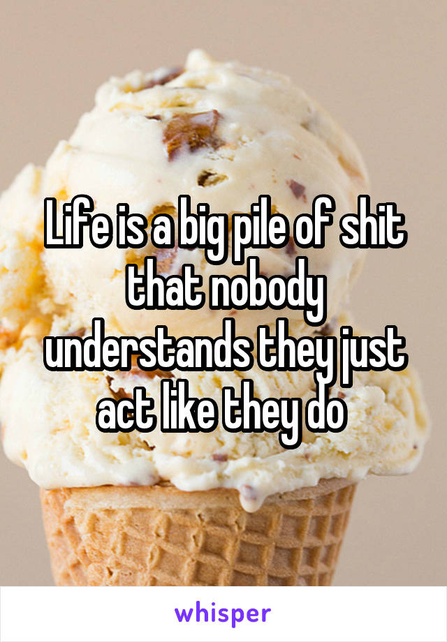 Life is a big pile of shit that nobody understands they just act like they do 