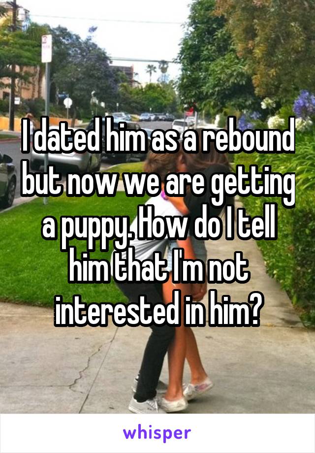 I dated him as a rebound but now we are getting a puppy. How do I tell him that I'm not interested in him?