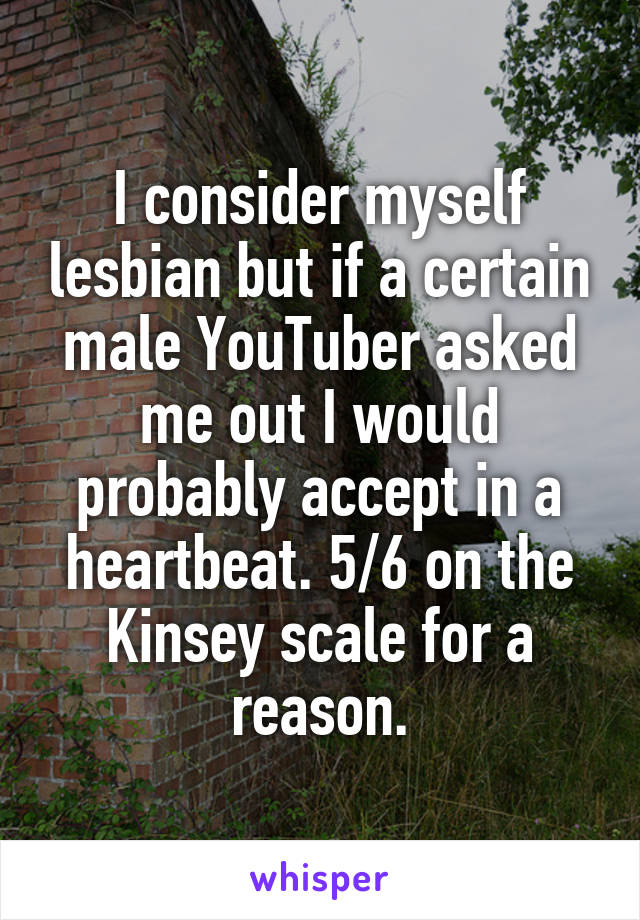 I consider myself lesbian but if a certain male YouTuber asked me out I would probably accept in a heartbeat. 5/6 on the Kinsey scale for a reason.