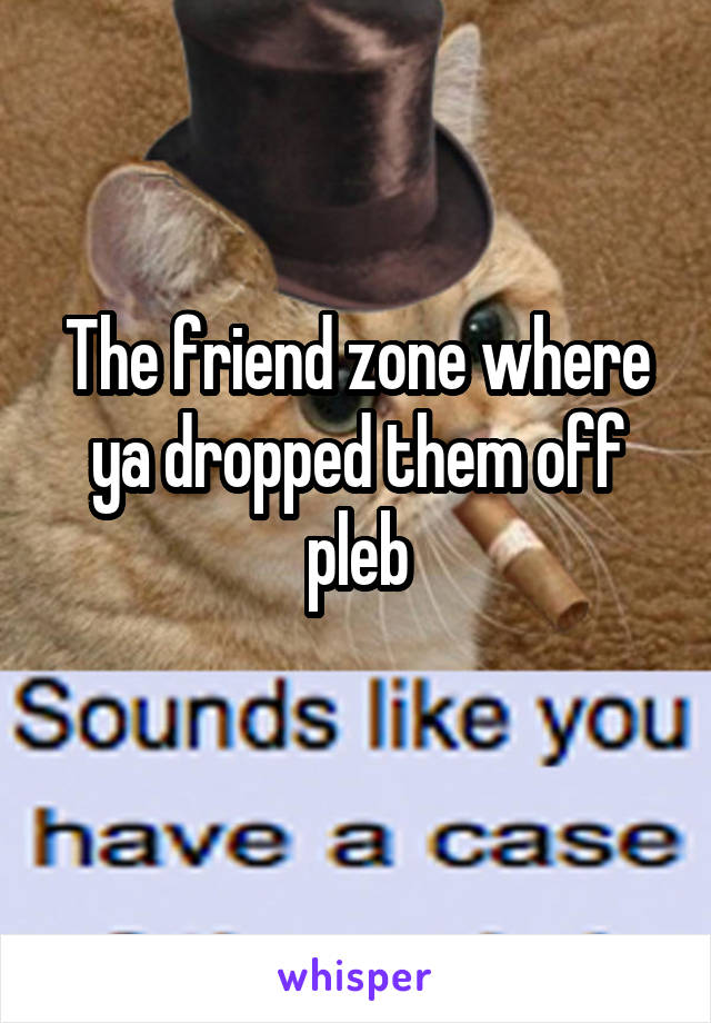 The friend zone where ya dropped them off pleb
