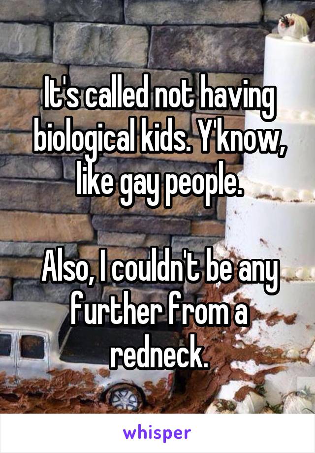 It's called not having biological kids. Y'know, like gay people.

Also, I couldn't be any further from a redneck.