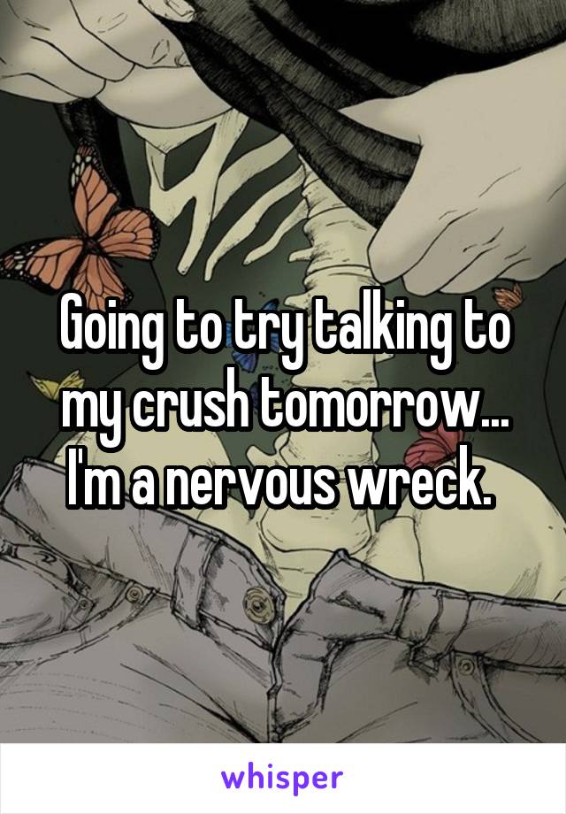 Going to try talking to my crush tomorrow...
I'm a nervous wreck. 