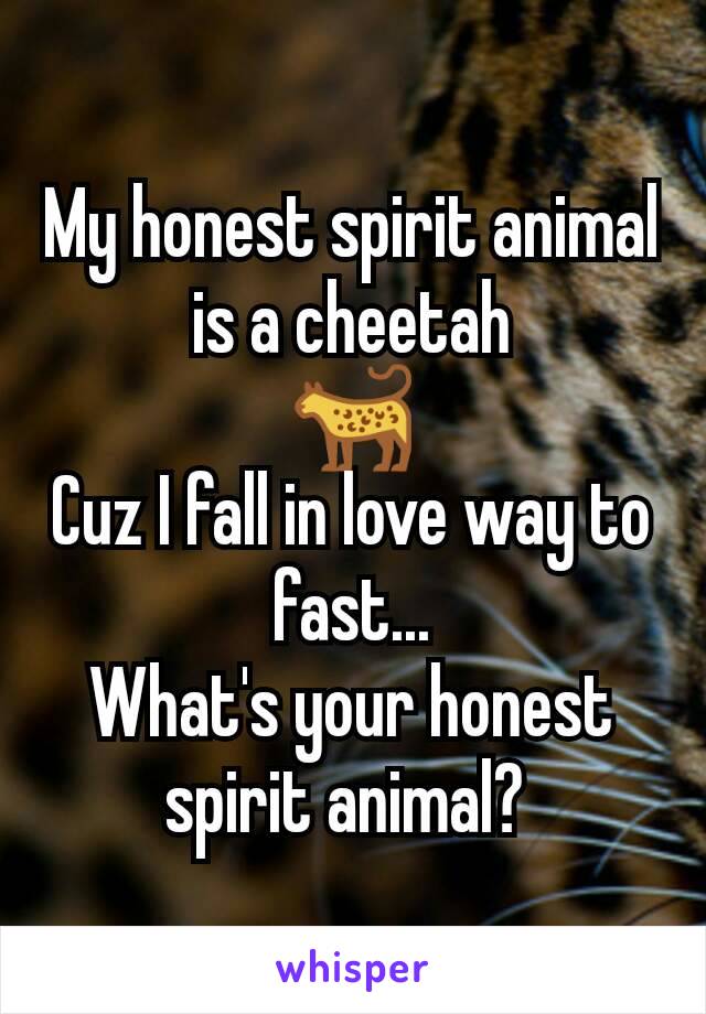 My honest spirit animal is a cheetah
🐆
Cuz I fall in love way to fast...
What's your honest spirit animal? 