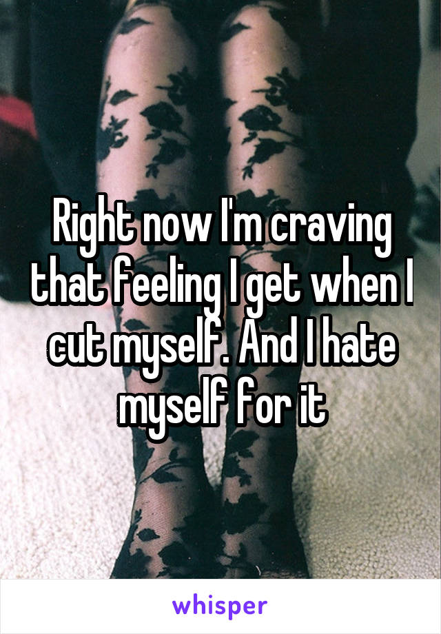 Right now I'm craving that feeling I get when I cut myself. And I hate myself for it