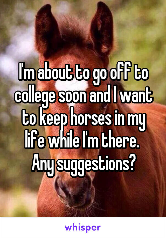 I'm about to go off to college soon and I want to keep horses in my life while I'm there. 
Any suggestions?