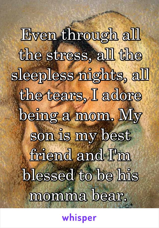 Even through all the stress, all the sleepless nights, all the tears, I adore being a mom. My son is my best friend and I'm blessed to be his momma bear. 