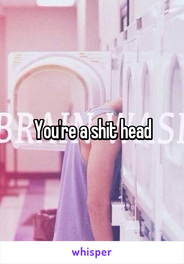 You're a shit head