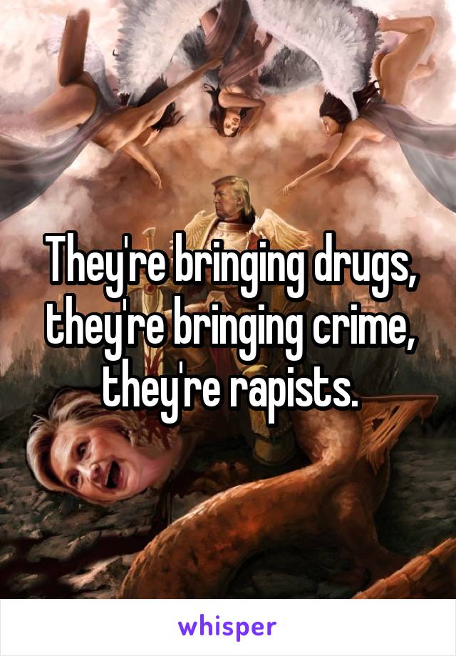 They're bringing drugs, they're bringing crime, they're rapists.