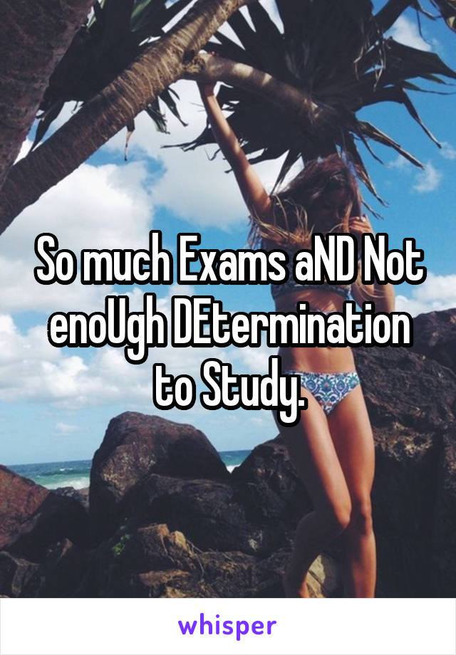 So much Exams aND Not enoUgh DEtermination to Study.