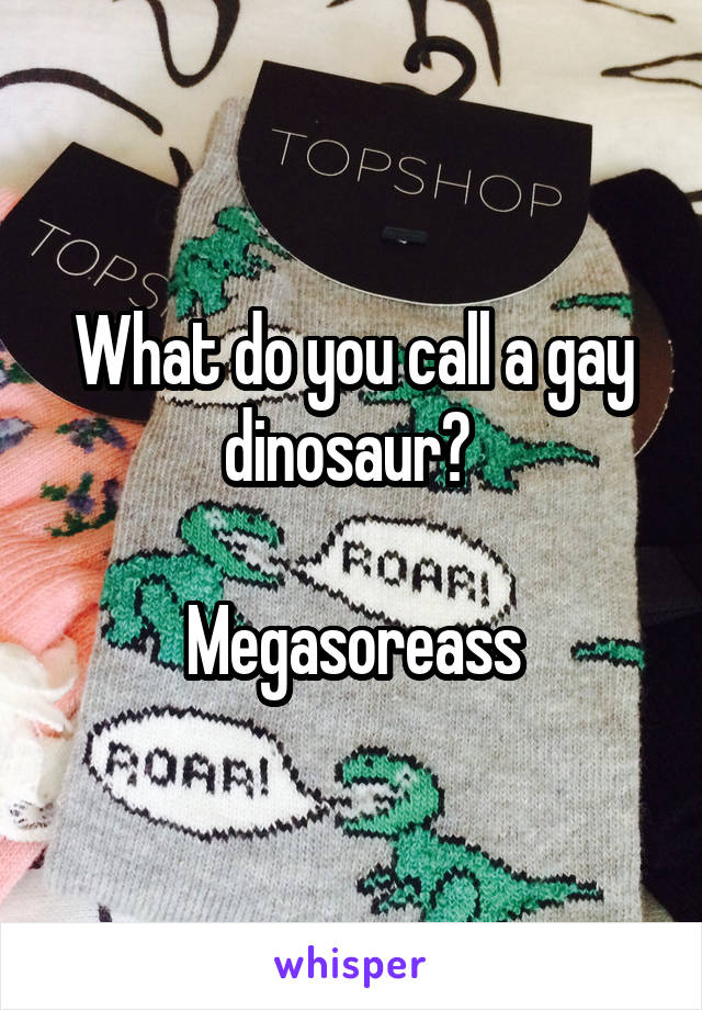 What do you call a gay dinosaur? 

Megasoreass