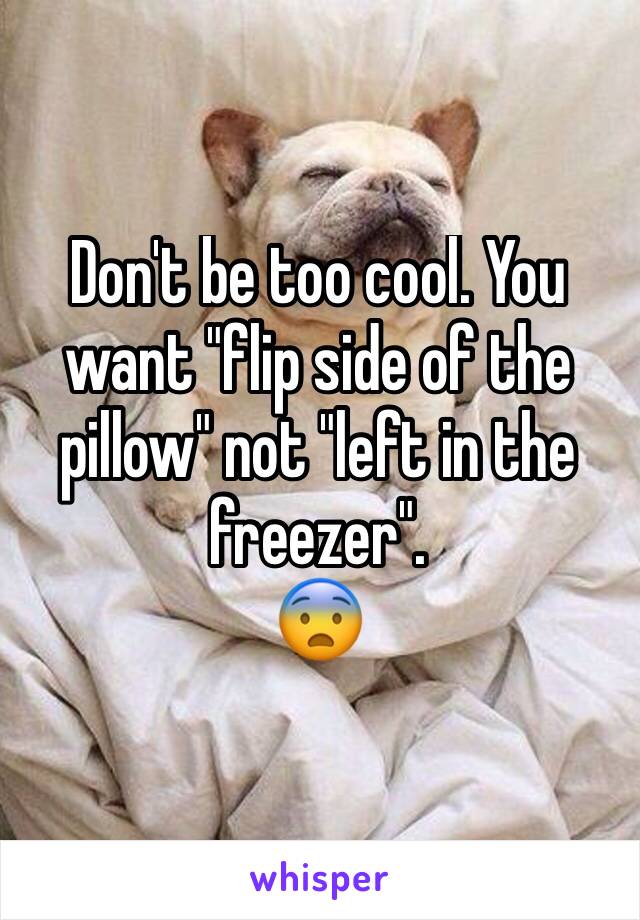 Don't be too cool. You want "flip side of the pillow" not "left in the freezer".
😨