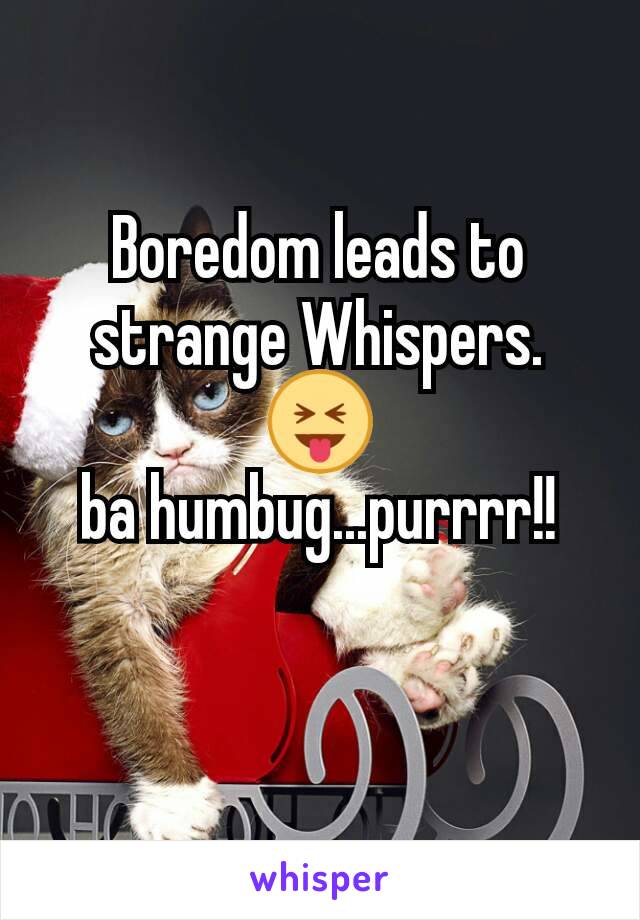 Boredom leads to strange Whispers. 😝
ba humbug...purrrr!!