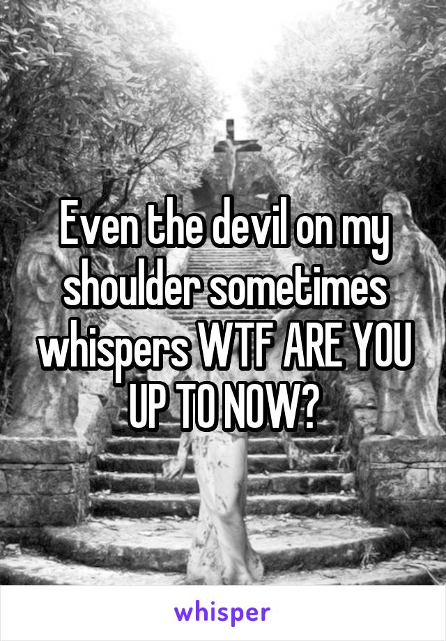 Even the devil on my shoulder sometimes whispers WTF ARE YOU UP TO NOW?