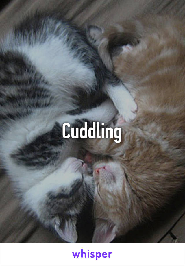 Cuddling