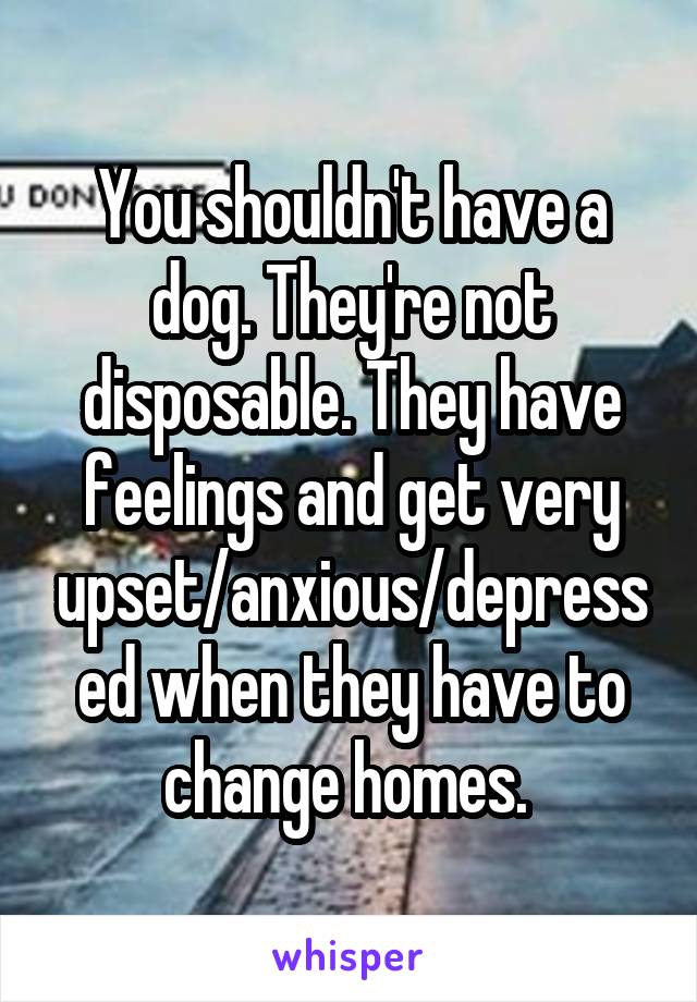 You shouldn't have a dog. They're not disposable. They have feelings and get very upset/anxious/depressed when they have to change homes. 