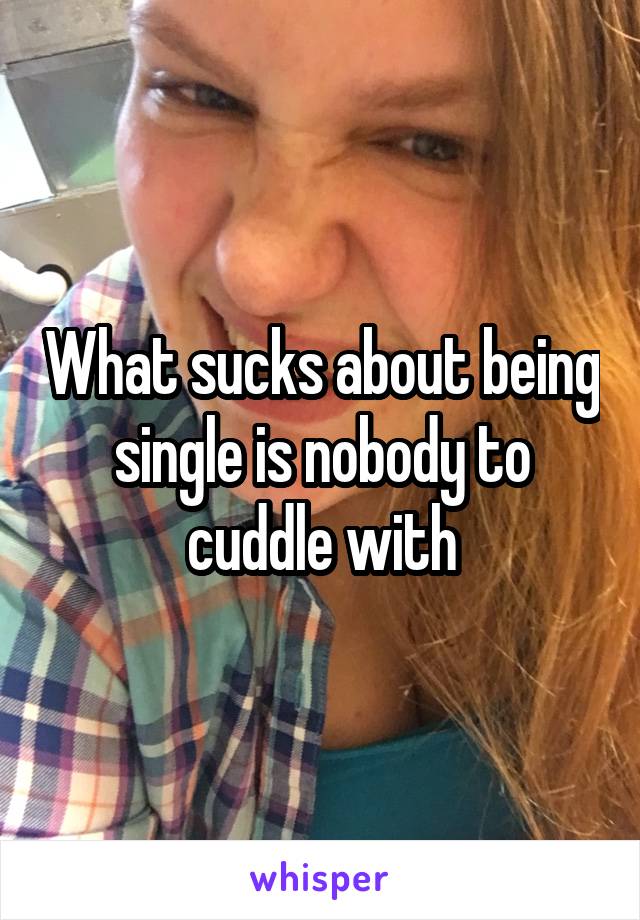 What sucks about being single is nobody to cuddle with