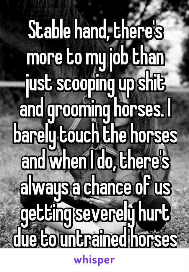 Stable hand, there's more to my job than just scooping up shit and grooming horses. I barely touch the horses and when I do, there's always a chance of us getting severely hurt due to untrained horses