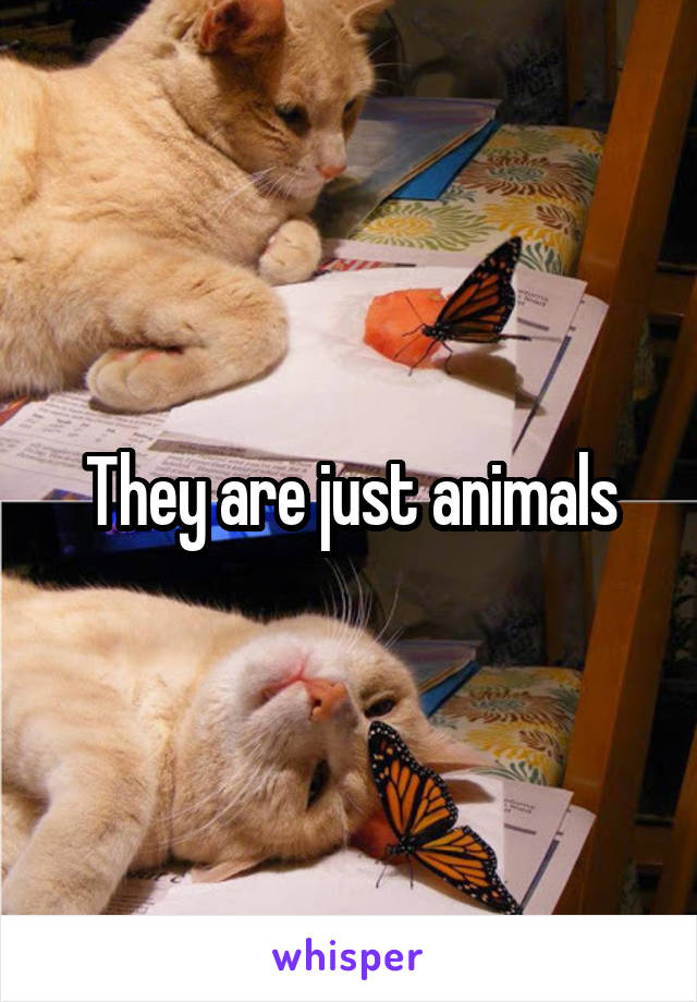 They are just animals