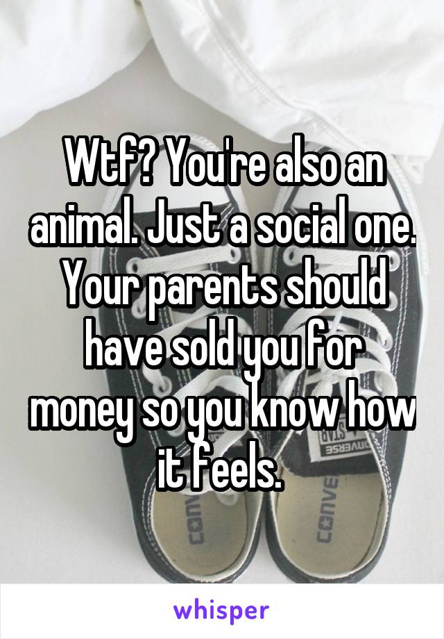 Wtf? You're also an animal. Just a social one. Your parents should have sold you for money so you know how it feels. 