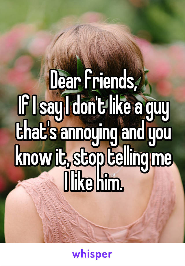 Dear friends,
If I say I don't like a guy that's annoying and you know it, stop telling me I like him.