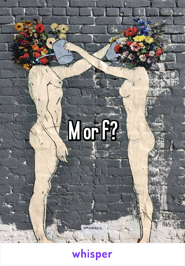 M or f?