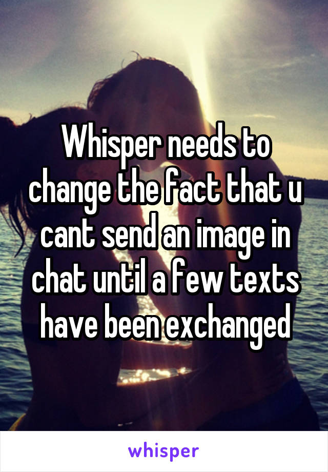 Whisper needs to change the fact that u cant send an image in chat until a few texts have been exchanged